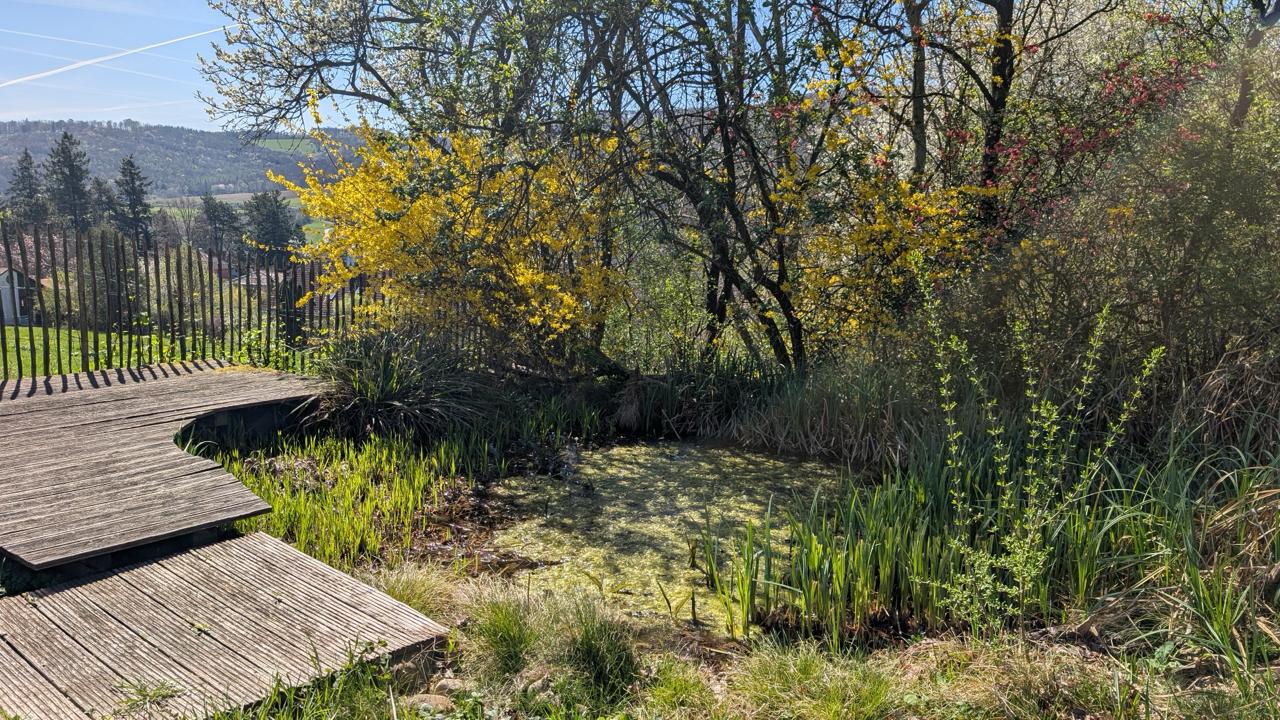 Garten 11 – Biodiversität